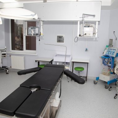 251087263_410620990801152_4651865669217785570_n